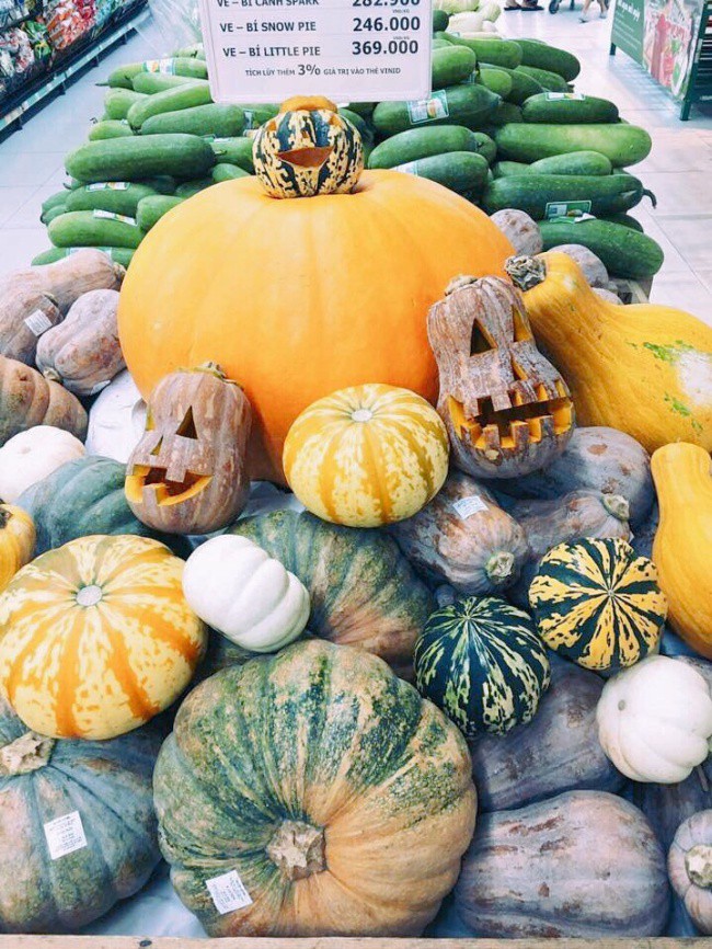 Ph&aacute;t cuồng với b&iacute; ng&ocirc; Halloween khổng lồ lần đầu được trồng ngay tại Việt Nam - Ảnh 10.