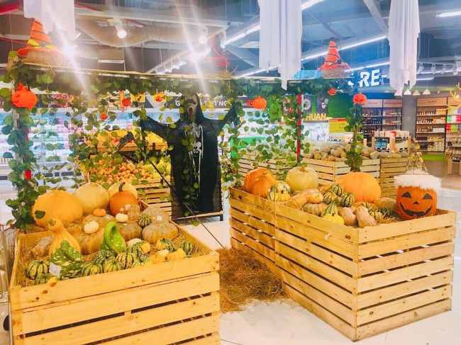Ph&aacute;t cuồng với b&iacute; ng&ocirc; Halloween khổng lồ lần đầu được trồng ngay tại Việt Nam - Ảnh 2.