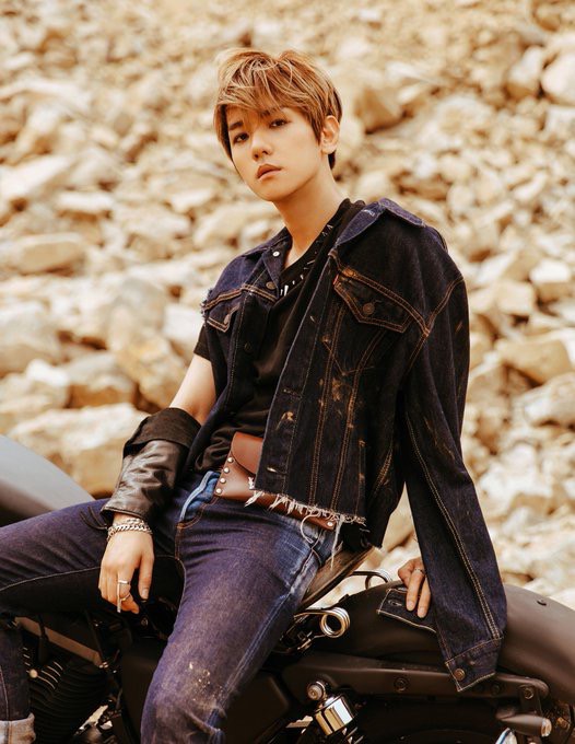 Thuyết &acirc;m mưu đổ vỡ, fan &ldquo;ng&atilde; ngửa&rdquo; v&igrave; quy luật &ldquo;Kim gia&rdquo; của EXO trong loạt teaser nh&aacute; h&agrave;ng - Ảnh 4.
