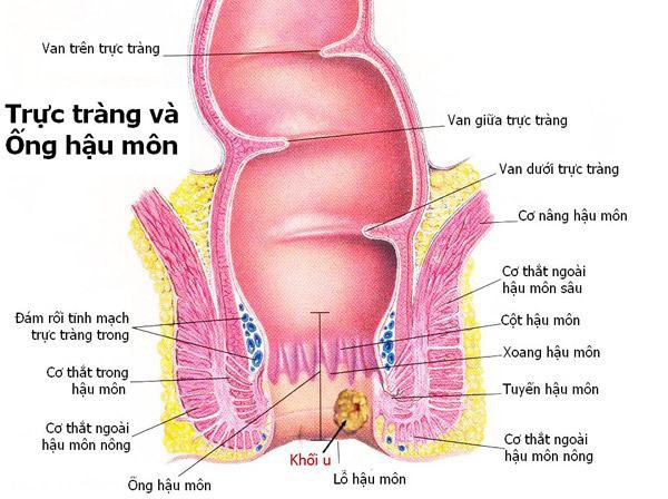 Dấu hiệu nhận biết sớm ung thư hậu môn - bệnh ung thư đe dọa mạng sống của nhiều người nổi tiếng - Ảnh 5.