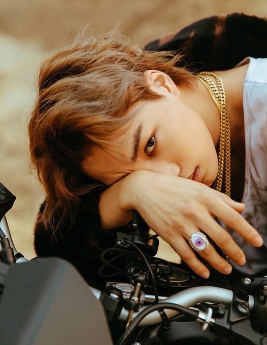 Thuyết &acirc;m mưu đổ vỡ, fan &ldquo;ng&atilde; ngửa&rdquo; v&igrave; quy luật &ldquo;Kim gia&rdquo; của EXO trong loạt teaser nh&aacute; h&agrave;ng - Ảnh 3.