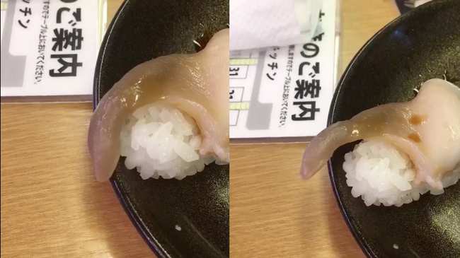 Nhà hàng Nhật Bản phục vụ sushi vẫn còn ngọ nguậy chơi đùa với thực khách làm dân mạng phát khiếp - Ảnh 2.
