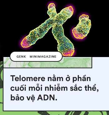 Thiên nhiên kì diệu: Đây là những sinh vật khiến bạn tin vào sự bất tử - Ảnh 12.