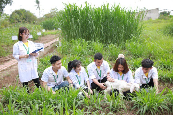 Ngay tại Hà Nội có một ngôi trường rộng gần 200ha, cây cối, hóa trái phủ xanh khắp nơi như rừng nhiệt đới - Ảnh 12.