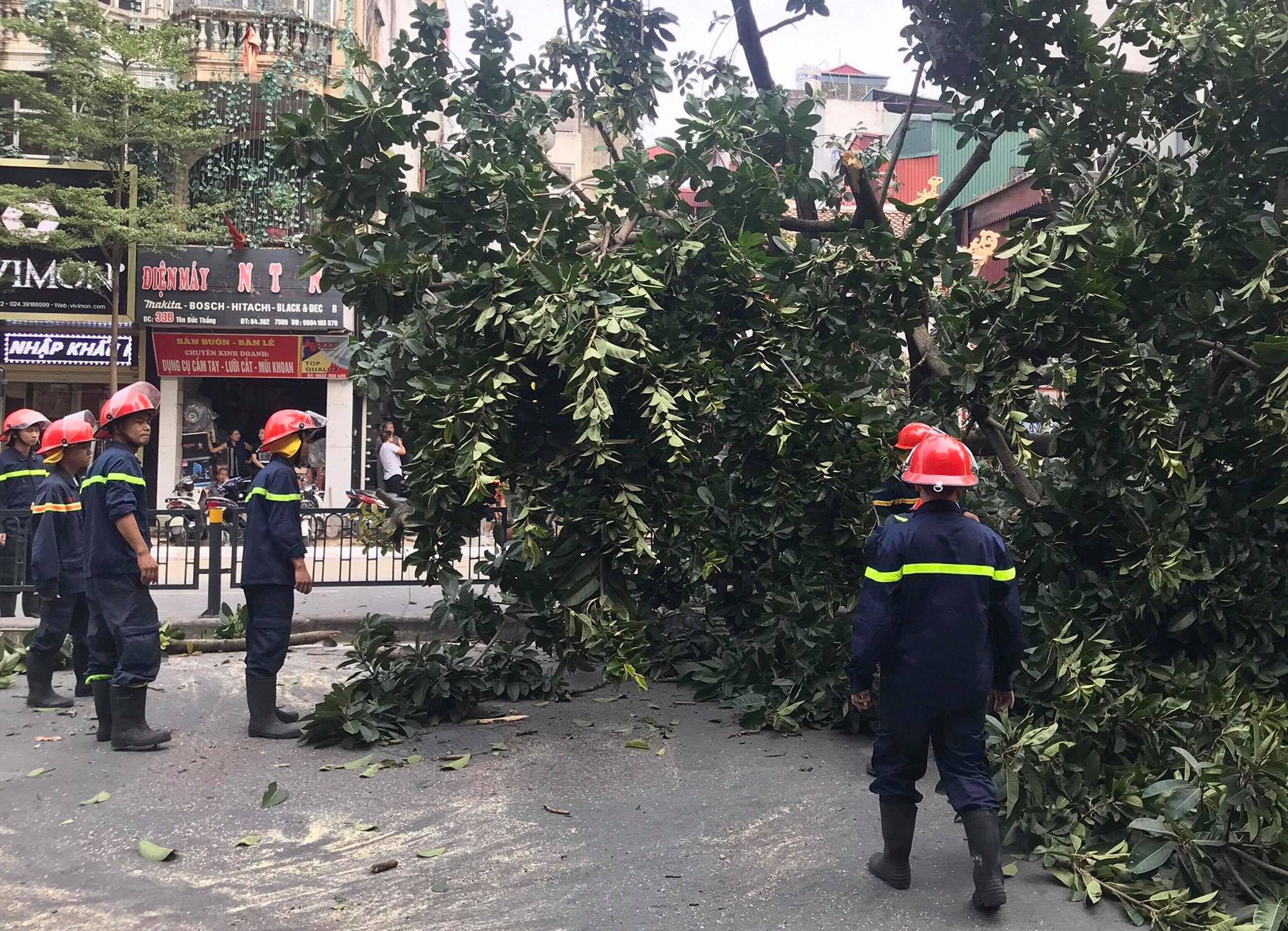 Hà Nội: Cây đa cổ thụ cao gần 10m đổ chắn ngang đường Tôn Đức Thắng - Ảnh 2. Hà Nội: Cây đa cổ thụ cao gần 10m đổ chắn ngang đường Tôn Đức Thắng - Ảnh 2.