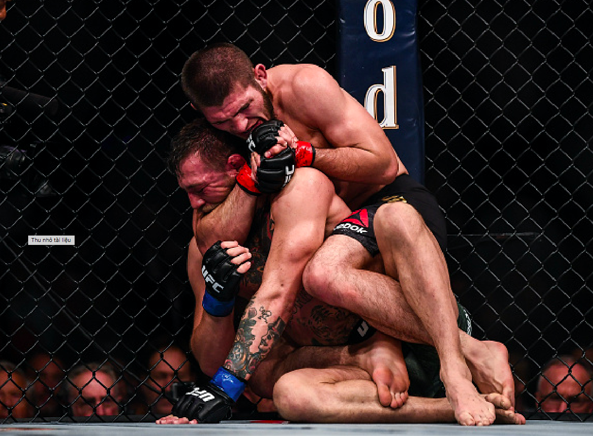 Đây là lý do khiến độc cô cầu bại Khabib bất chấp danh dự để tấn công McGregor - Ảnh 2. Đây là lý do khiến độc cô cầu bại Khabib bất chấp danh dự để tấn công McGregor - Ảnh 2.
