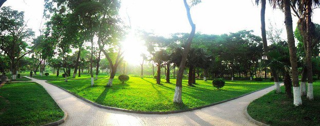 Ngay tại Hà Nội có một ngôi trường rộng gần 200ha, cây cối, hóa trái phủ xanh khắp nơi như rừng nhiệt đới - Ảnh 3.