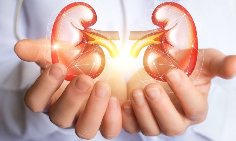 Những nguy hại sức khỏe tiềm ẩn trong thói quen lười uống nước ai cũng nên biết - Ảnh 1. Những nguy hại sức khỏe tiềm ẩn trong thói quen lười uống nước ai cũng nên biết - Ảnh 1.