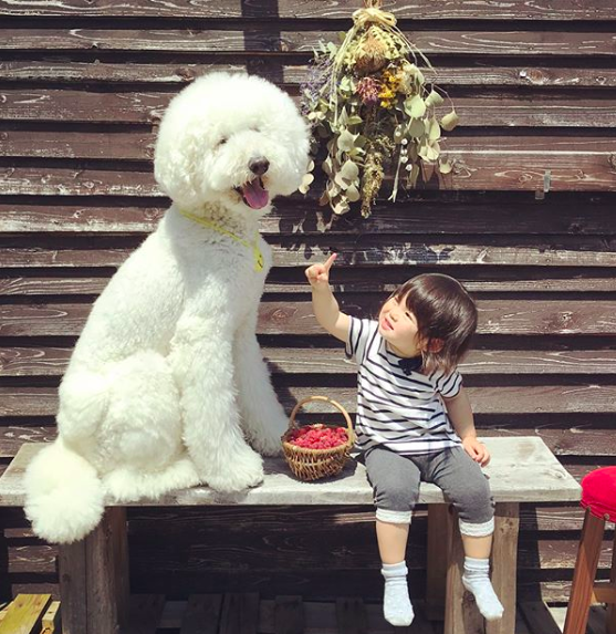 Em bé Nhật Bản nhỏ xíu bên chú Poodle to đùng là cặp đôi ngôi sao mới nổi trên Instagram - Ảnh 18.