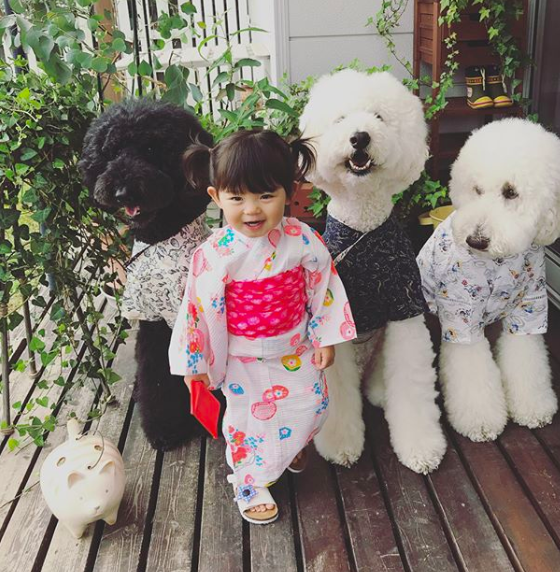 Em bé Nhật Bản nhỏ xíu bên chú Poodle to đùng là cặp đôi ngôi sao mới nổi trên Instagram - Ảnh 19.