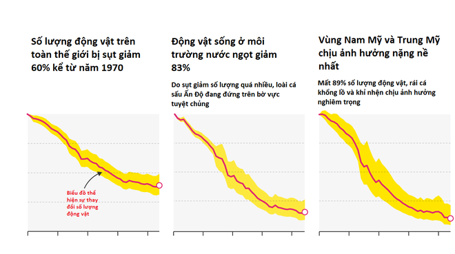 Báo cáo cho thấy, nhân loại đã khiến Trái đất mất 60% số lượng động vật trong hơn 40 năm qua - Ảnh 2.