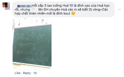 Xuất hiện hình vẽ khiến dân mạng tranh cãi nhau không biết đây là môn Hoá hay môn Mỹ Thuật - Ảnh 6.