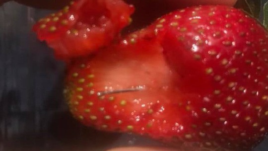 Úc: Bắt giữ người phụ nữ tên My Ut Trinh vì nghi nhét kim khâu vào dâu tây - Ảnh 3. Úc: Bắt giữ người phụ nữ tên My Ut Trinh vì nghi nhét kim khâu vào dâu tây - Ảnh 3.