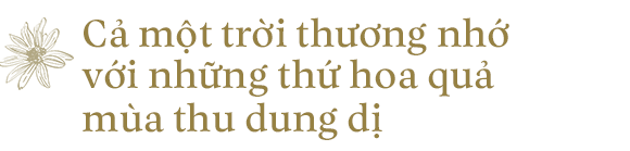 Lang thang Hà Nội, gói cả mùa thu vào lòng! - Ảnh 7.