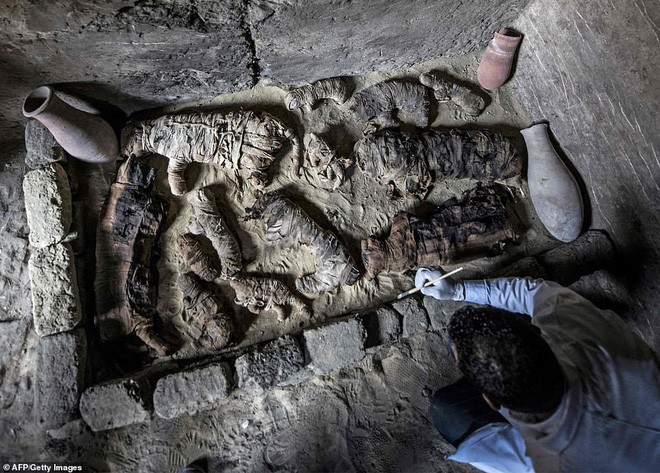 Cận cảnh xác ướp bọ hung và mèo bên trong ngôi mộ Ai Cập 4.500 năm tuổi - Ảnh 2.