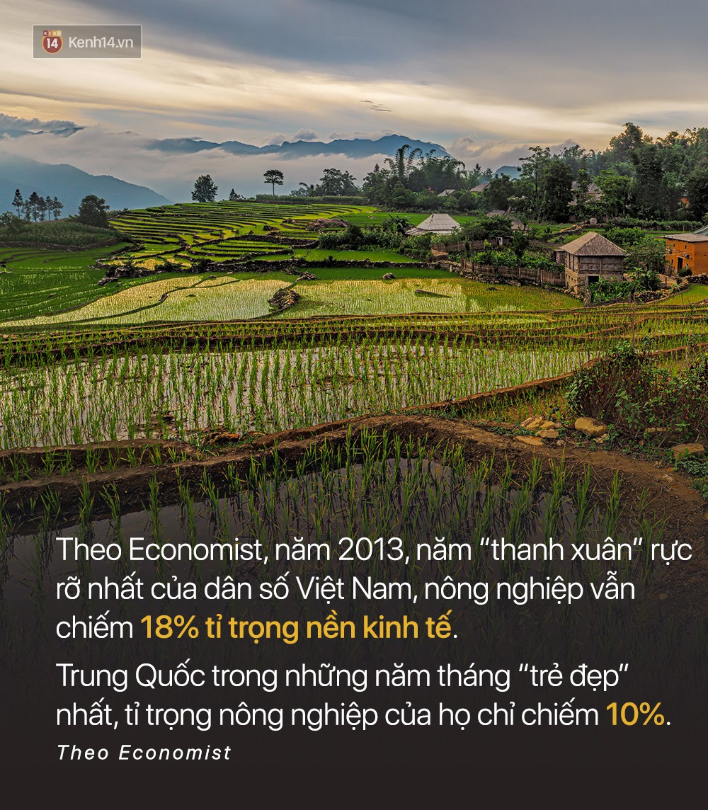 Báo quốc tế đưa tin: Người Việt nam chưa kịp giàu đã già mất rồi - Ảnh 4. Báo quốc tế đưa tin: Người Việt nam chưa kịp giàu đã già mất rồi - Ảnh 4.