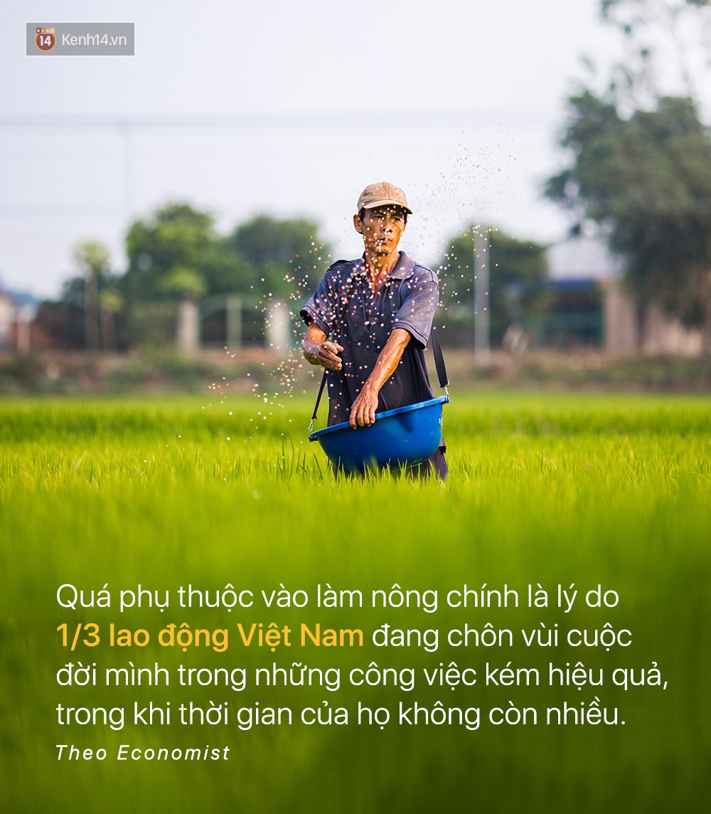 Báo quốc tế đưa tin: Người Việt nam chưa kịp giàu đã già mất rồi - Ảnh 5. Báo quốc tế đưa tin: Người Việt nam chưa kịp giàu đã già mất rồi - Ảnh 5.