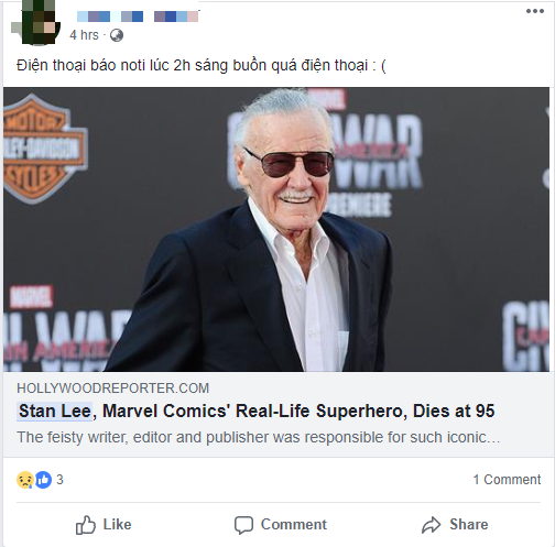 Nửa đêm nhận tin dữ, netizen Việt đau lòng vĩnh biệt biểu tượng của Marvel Stan Lee - Ảnh 1.