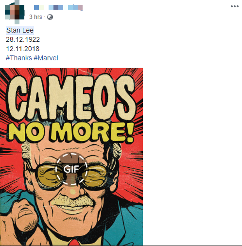 Nửa đêm nhận tin dữ, netizen Việt đau lòng vĩnh biệt biểu tượng của Marvel Stan Lee - Ảnh 2.