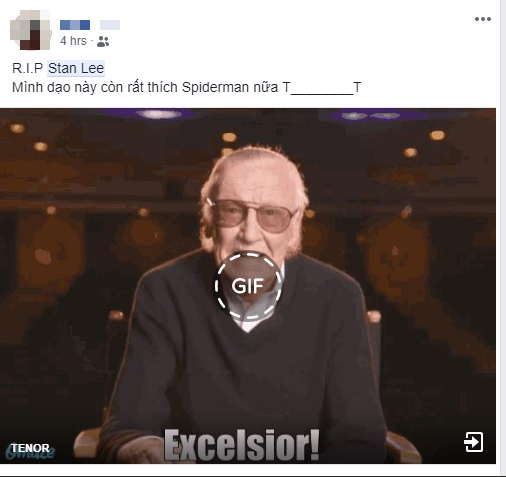 Nửa đ&ecirc;m nhận tin dữ, netizen Việt đau l&ograve;ng vĩnh biệt biểu tượng của Marvel Stan Lee - Ảnh 3.