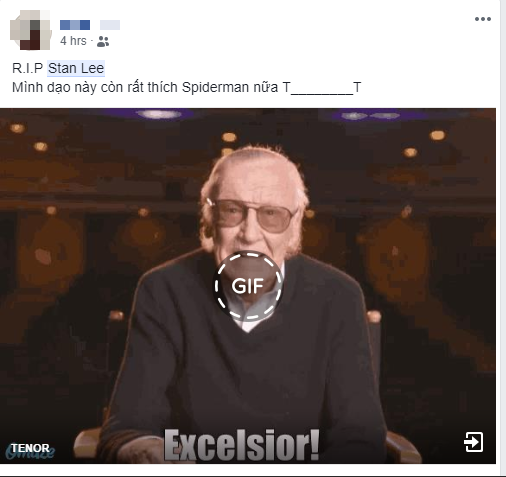 Nửa đêm nhận tin dữ, netizen Việt đau lòng vĩnh biệt biểu tượng của Marvel Stan Lee - Ảnh 3.