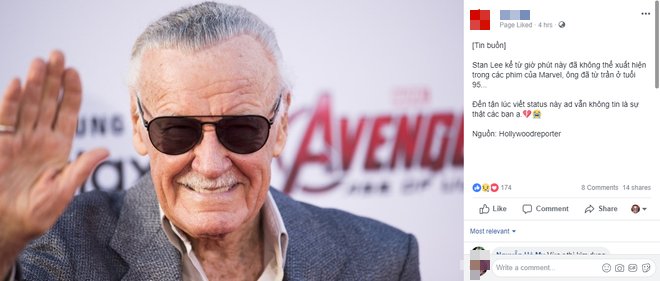 Nửa đêm nhận tin dữ, netizen Việt đau lòng vĩnh biệt biểu tượng của Marvel Stan Lee - Ảnh 5.