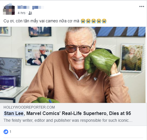 Nửa đêm nhận tin dữ, netizen Việt đau lòng vĩnh biệt biểu tượng của Marvel Stan Lee - Ảnh 7.