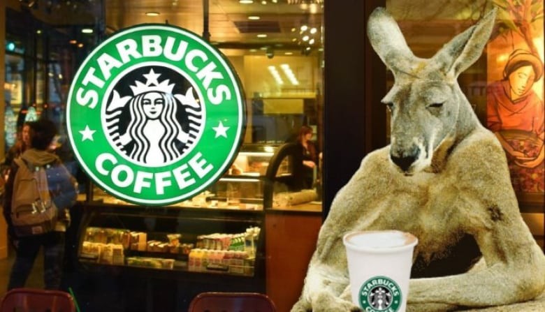 Câu chuyện của Starbucks ở Úc: Bành trướng quá nhanh để rồi bật bãi không kèn không trống - Ảnh 2. Câu chuyện của Starbucks ở Úc: Bành trướng quá nhanh để rồi bật bãi không kèn không trống - Ảnh 2.