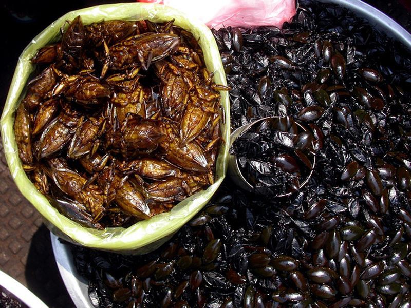 Tuy l&agrave;m nhiều người khiếp v&iacute;a nhưng đ&acirc;y ch&iacute;nh l&agrave; m&oacute;n chưa ăn chưa tới Ninh B&igrave;nh - Ảnh 3.