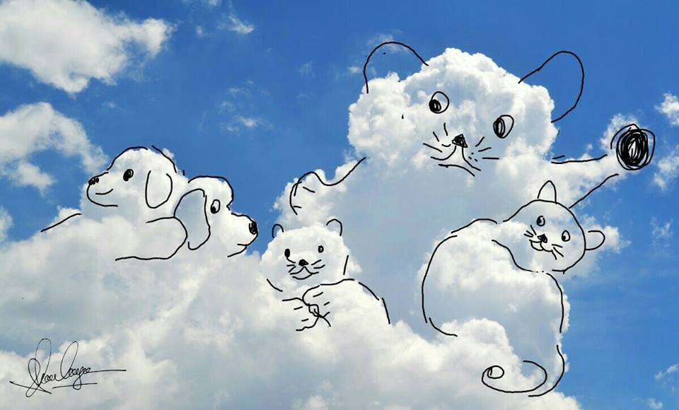 Top hơn 103 một số hình nền về mây đẹp hay nhất  thdonghoadian