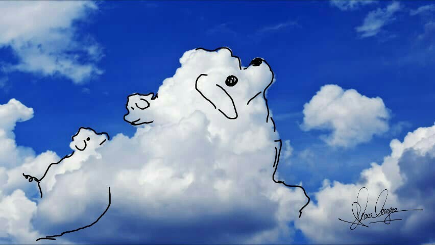 Kinh ngạc với những bức vẽ từ mây trời