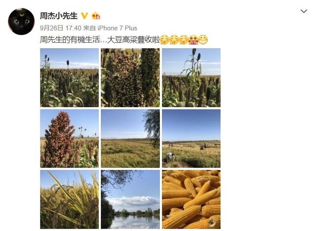 Không hề nghèo khó, Nhĩ Khang Châu Kiệt hạnh phúc với cuộc sống làm nông dân trồng lúa - Ảnh 4.