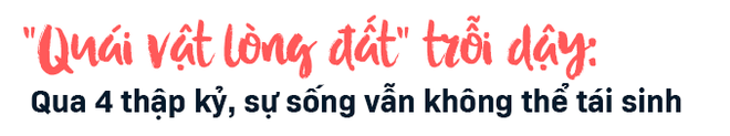 Rừng Tử thần dễ dàng đoạt mạng người ở Nga: Bí ẩn được giải mã! - Ảnh 1.