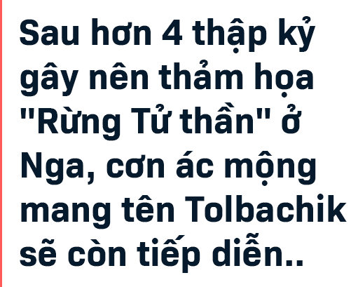 Rừng Tử thần dễ dàng đoạt mạng người ở Nga: Bí ẩn được giải mã! - Ảnh 5.