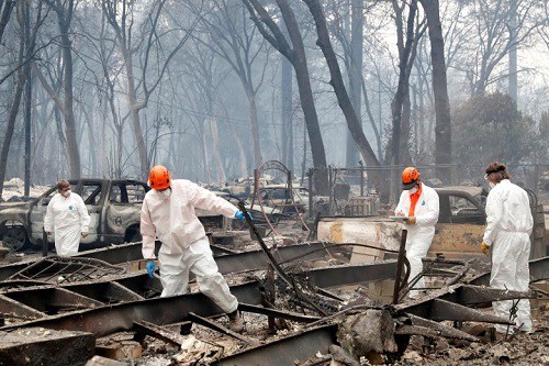 Thảm họa cháy rừng ở California: Tiến hành nhận dạng các nạn nhân qua ADN - Ảnh 2.