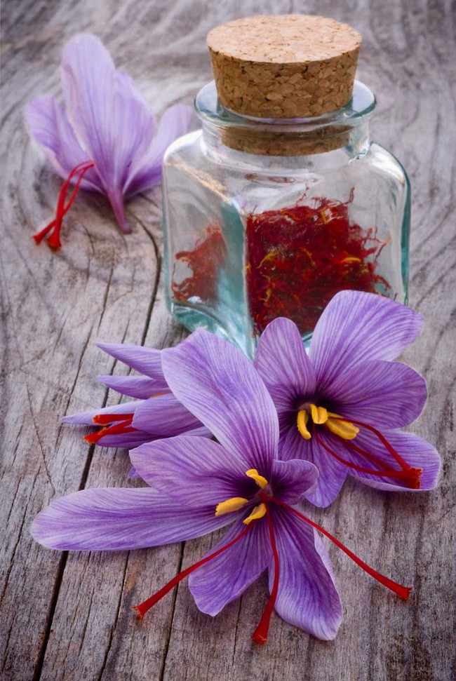 Bí mật thú vị của saffron - gia vị đắt nhất thế giới gần 1 tỷ/kg từng được Nữ hoàng Ai Cập dùng dưỡng nhan  - Ảnh 8.