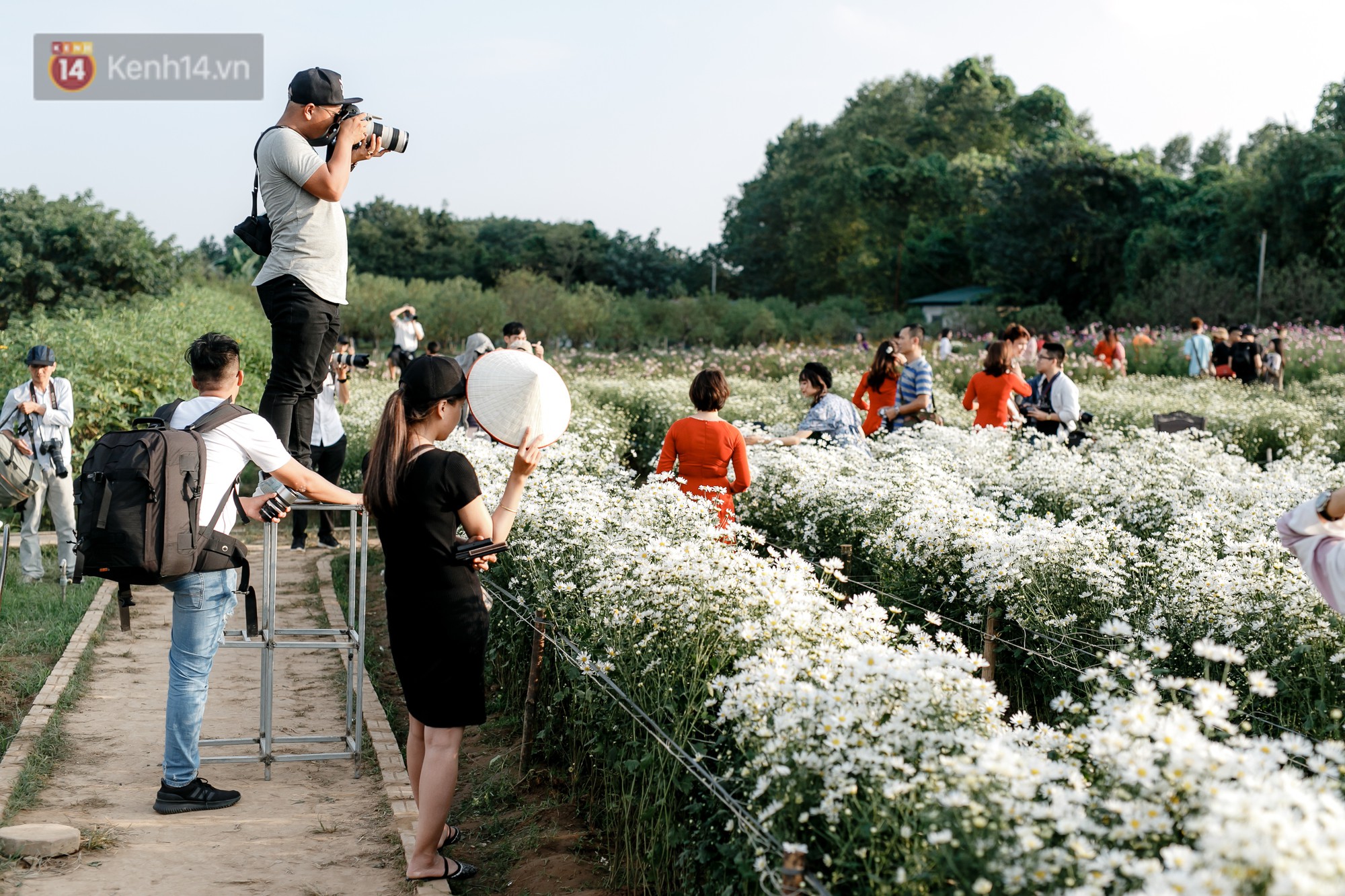 Vườn cúc hoạ mi ở Hà Nội thất thủ cuối tuần: 1 mét vuông có chục nhiếp ảnh gia và mẫu - Ảnh 4.