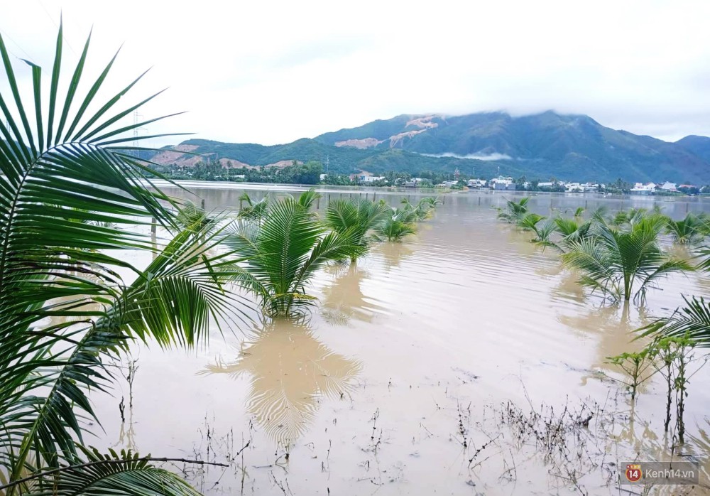 Mưa lũ, sạt lở kinh hoàng ở Nha Trang: Người dân dùng tay đào bới tìm thi thể bé trai và người phụ nữ trong đống đổ nát - Ảnh 8. Mưa lũ, sạt lở kinh hoàng ở Nha Trang: Người dân dùng tay đào bới tìm thi thể bé trai và người phụ nữ trong đống đổ nát - Ảnh 8.