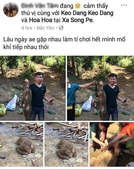 Xác định nam thanh niên giết khỉ dã man rồi đăng ảnh lên Facebook - Ảnh 1. Xác định nam thanh niên giết khỉ dã man rồi đăng ảnh lên Facebook - Ảnh 1.