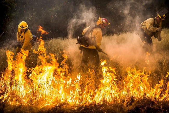 Vì sao quá nhiều người mất tích trong thảm họa cháy rừng California - Ảnh 2.