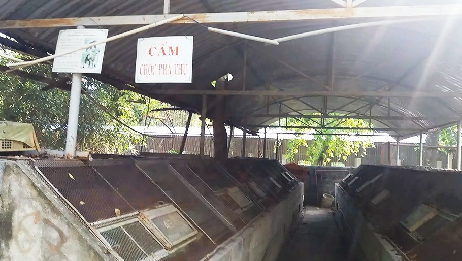 Cận cảnh thú nuôi bị coi là ngược đãi tại vườn thú Công viên nước Củ Chi - Ảnh 4. Cận cảnh thú nuôi bị coi là ngược đãi tại vườn thú Công viên nước Củ Chi - Ảnh 4.