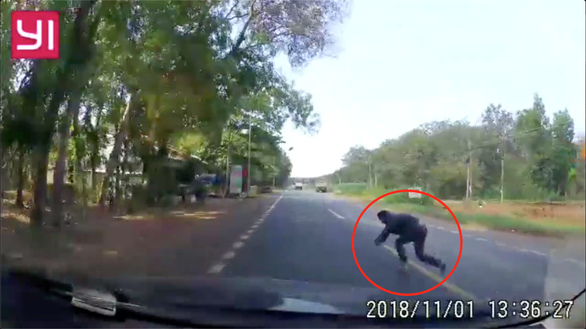 Clip: Thanh niên bất ngờ lao đầu vào ô tô đang chạy trên quốc lộ, tài xế nhanh trí né kịp tránh cú vạ lây - Ảnh 2. Clip: Thanh niên bất ngờ lao đầu vào ô tô đang chạy trên quốc lộ, tài xế nhanh trí né kịp tránh cú vạ lây - Ảnh 2.