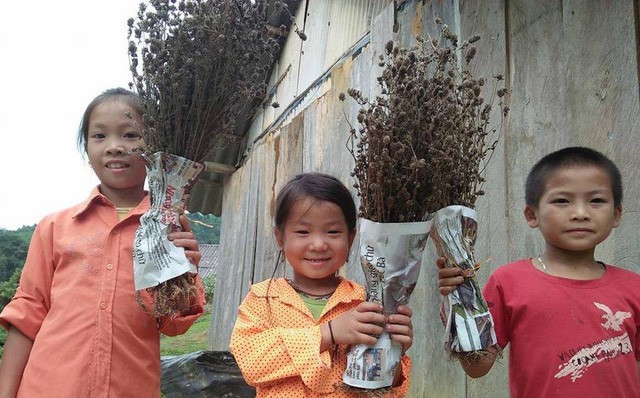 Giáo viên mừng phát khóc khi học trò mang hoa dại, rau cải, chuối tặng ngày 20/11 - Ảnh 1.