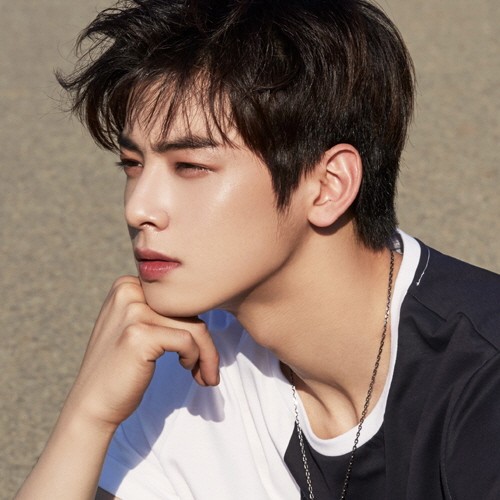 B&aacute;c sĩ thẩm mỹ chấm bao nhi&ecirc;u điểm cho vẻ đẹp trai của mỹ nam truyện tranh Cha Eunwoo? - Ảnh 2.