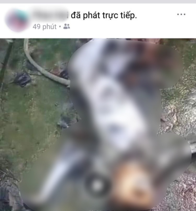 Phẫn nộ nhóm người giết cá thể nghi là khỉ rồi phát trực tiếp lên mạng xã hội - Ảnh 1. Phẫn nộ nhóm người giết cá thể nghi là khỉ rồi phát trực tiếp lên mạng xã hội - Ảnh 1.