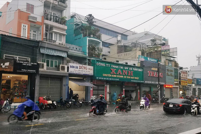 Diễn biến bão số 9: Sài Gòn mưa trắng trời khiến cây xanh ngã đổ, Vũng Tàu vẫn đang oằn mình chống bão - Ảnh 7.