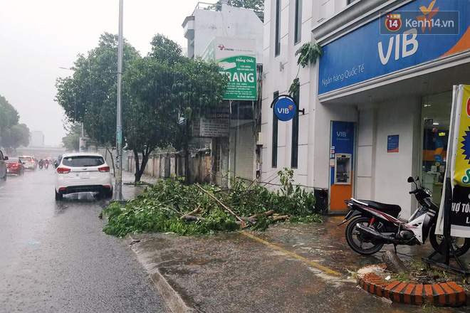 Nữ nhân viên ngân hàng và con trai 6 tuổi thoát nạn trong gang tấc khi cây xanh gãy đổ ở Sài Gòn  - Ảnh 1.