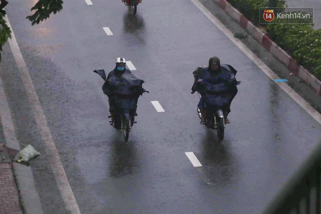Diễn biến bão số 9: Sài Gòn mưa trắng trời khiến cây xanh ngã đổ, Vũng Tàu vẫn đang oằn mình chống bão - Ảnh 5.