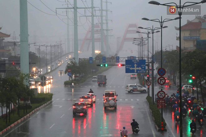 Diễn biến bão số 9: Sài Gòn mưa trắng trời khiến cây xanh ngã đổ, Vũng Tàu vẫn đang oằn mình chống bão - Ảnh 6.
