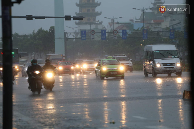 Diễn biến bão số 9: Sài Gòn mưa trắng trời khiến cây xanh ngã đổ, Vũng Tàu vẫn đang oằn mình chống bão - Ảnh 3.